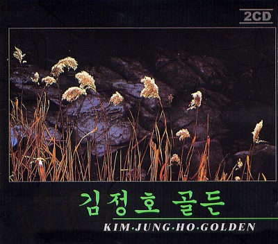 김정호 - 골든 (2CD)