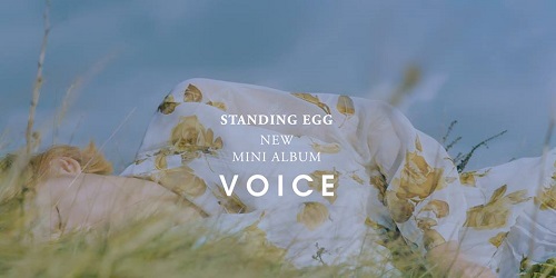 STANDING EGG - VOICE