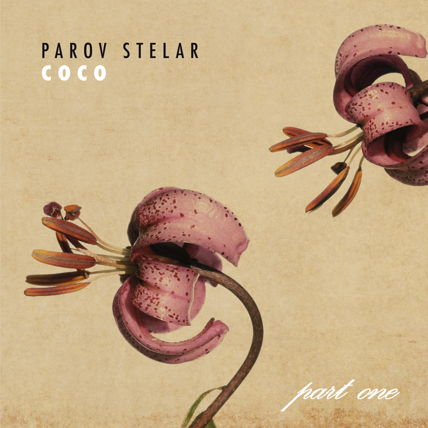 PAROV STELAR - COCO PARTT 01