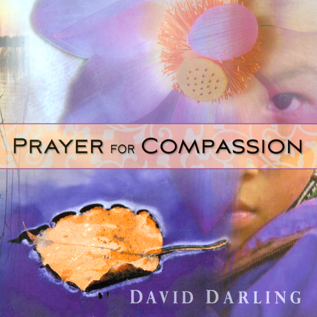 DAVID DARLING - PRAYER FOR COMPASSION