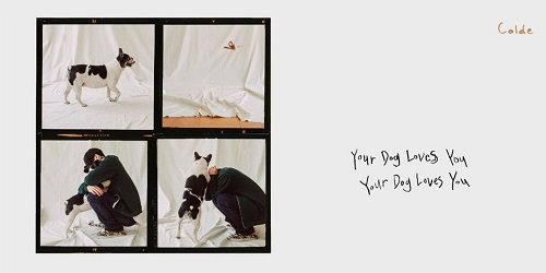 COLDE - YOUR DOG LOVES YOU