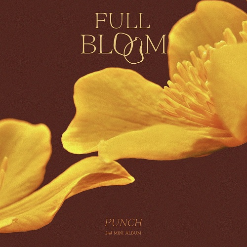 PUNCH - FULL BLOOM (満開)