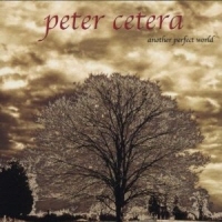 PETER CETERA - ANOTHER PERFECT WORLD