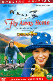 MOVIE - FLY AWAY HOME [아름다운 비행] [DVD]