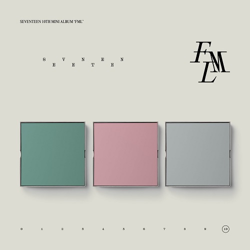 SEVENTEEN - FML [Random Cover]