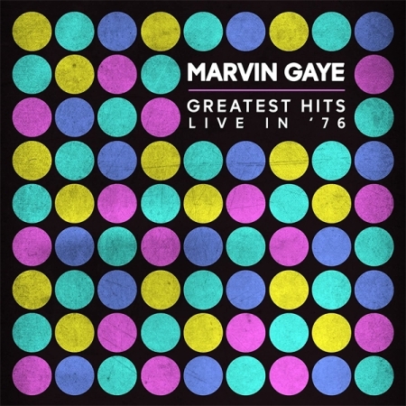 MARVIN GAYE - GREATEST HITS LIVE IN '76 [수입] [LP/VINYL] 