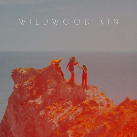 WILDWOOD KIN - WILDWOOD KIN [수입] [LP/VINYL] 