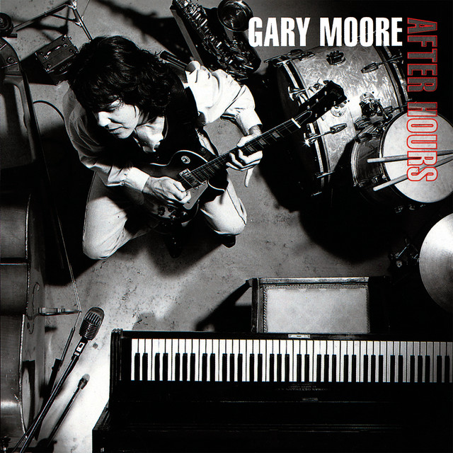 GARY MOORE - AFTER HOURS [수입] [LP/VINYL]