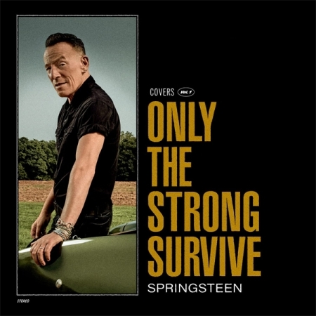 BRUCE SPRINGSTEEN - ONLY THE STRONG SURVIVE [2LP] [수입] [LP/VINYL]