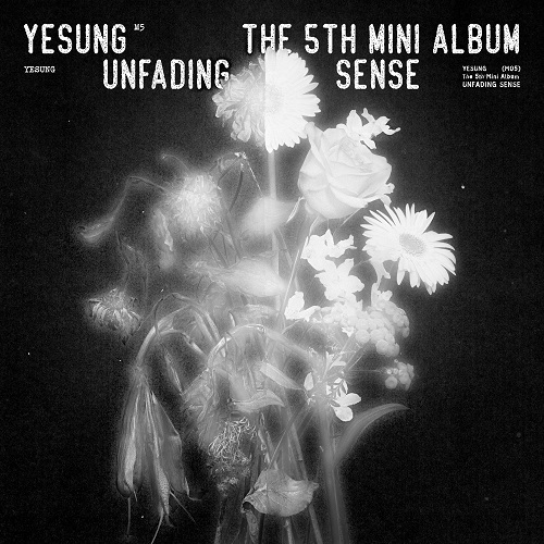 イェソン(YESUNG) - Unfading Sense [Photo Book Ver. - Random Cover]